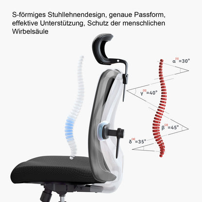SIHOO Ergonomischer Bürostuhl mit Lordosenstütze, bis 150 kg