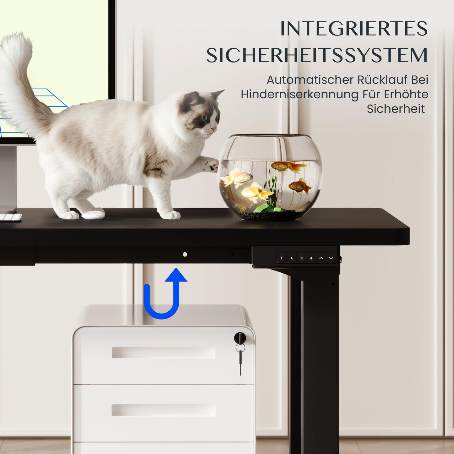 FLEXISPOT 4-Bein Tischgestell Elektrisch, Dual Motor, 71,5–118,5 cm
