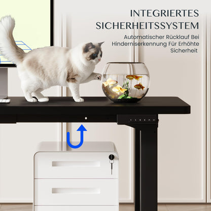 FLEXISPOT 4-Bein Tischgestell Elektrisch, Dual Motor, 71,5–118,5 cm