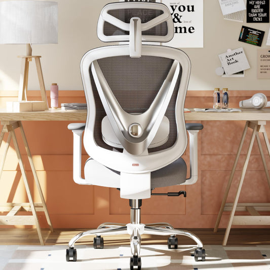 HOLLUDLE Ergonomischer Bürostuhl, 3D-Lendenstütze, 3D-Armlehnen, Weiß